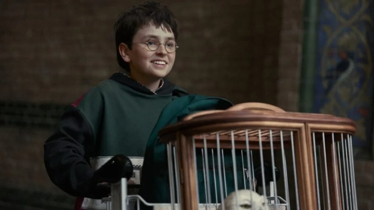 Harry Potter n’a même pas commencé que HBO prépare déjà Dobby, Voldemort et l’après-épisode