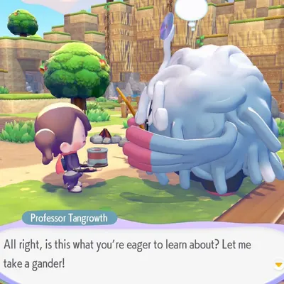 Pokémon Pokopia : Kanto est mort, et Métamorph doit maintenant ramasser les morceaux